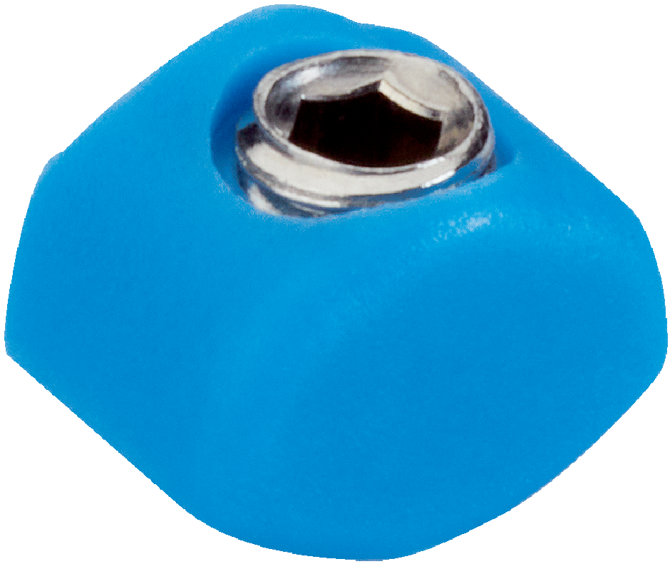 Sick BEF-NUT-T1 SLIDING NUT F.MZT1/RZT1 (2020954)