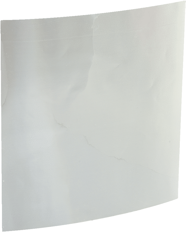 Feuille réfléchissante malade (4025097)
